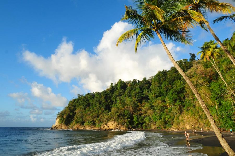 Crédit photo / source : http://domaine-diamant-caraibes.com/