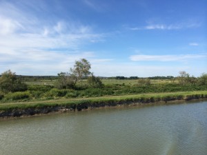 Photo 08-05-2014 17 23 47
