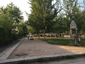IMG_6611