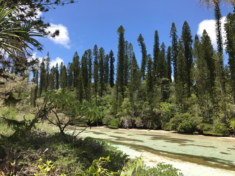 baie_oro_ile_des_pins