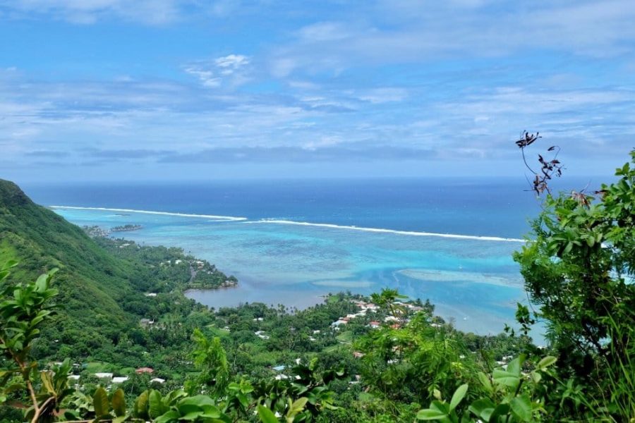 belvedere panorama Moorea