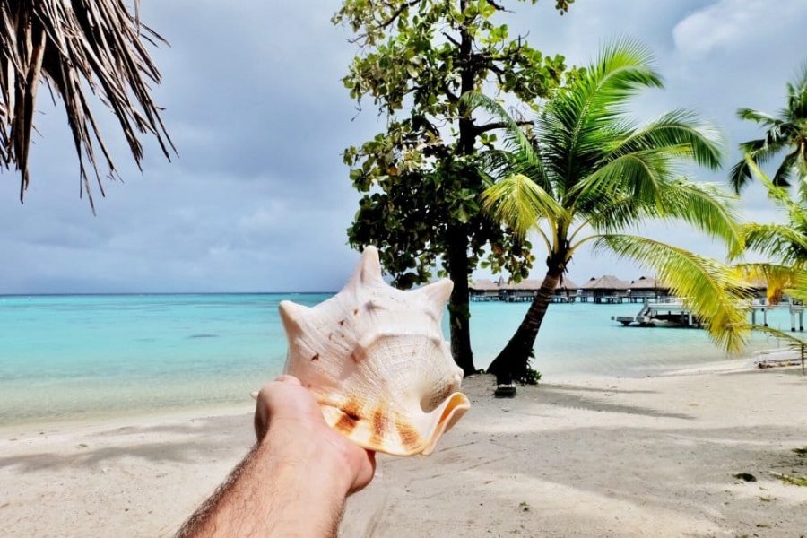 moorea