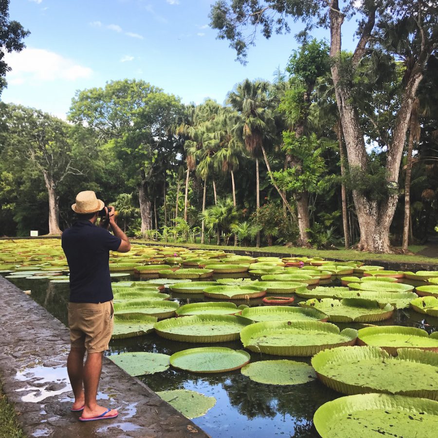 jardin_pamplemousse_ile_maurice