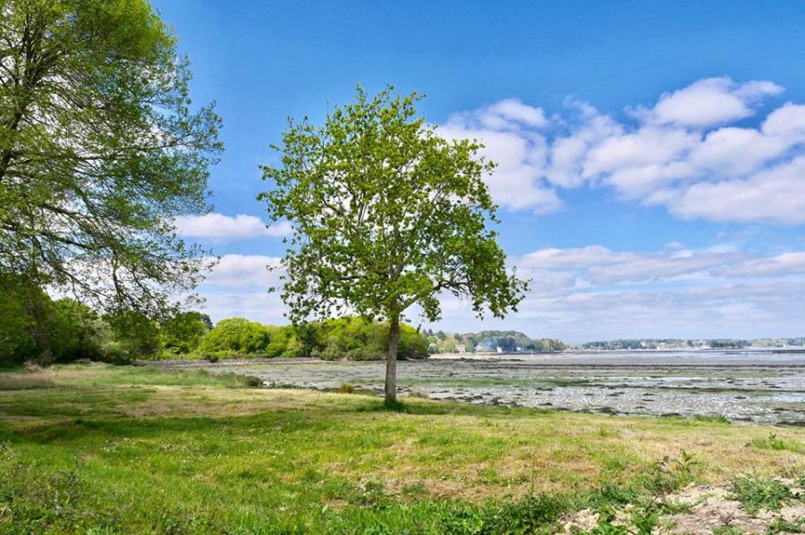 ile aux moines