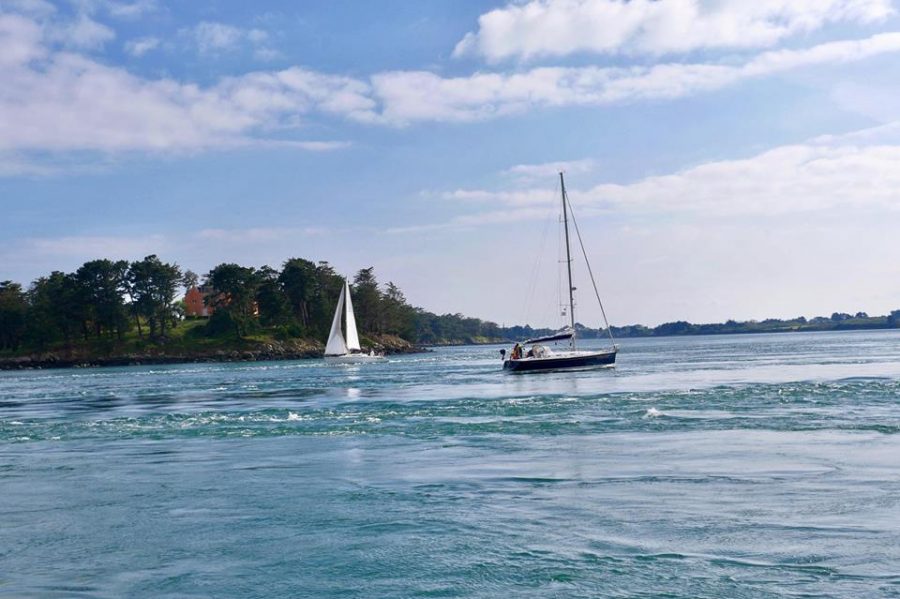 ile aux moines