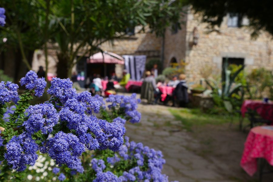 restaurant asphodèle ile aux moines