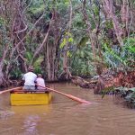 indian-river-dominica