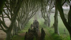 the-dark-hedges-tree-tunnel-15
