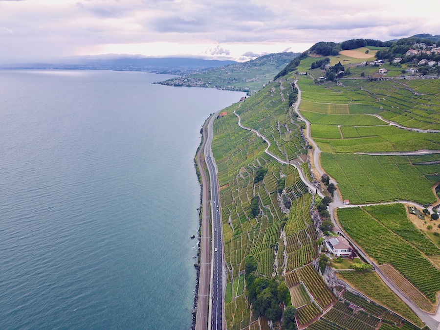 vignes-lavaux
