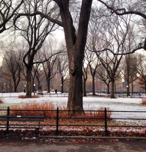 Une balade à Central Park sous la neige