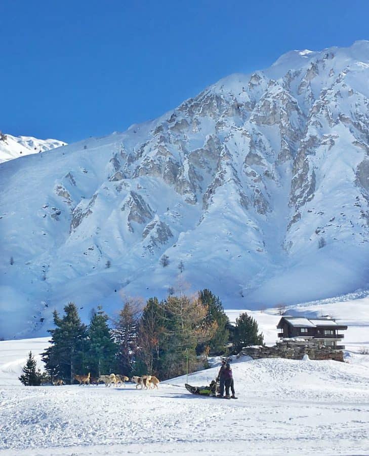 chiens_traineau_tignes