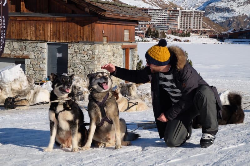 chiens_traineau_tignes