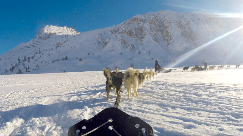 traineau_chien_tignes