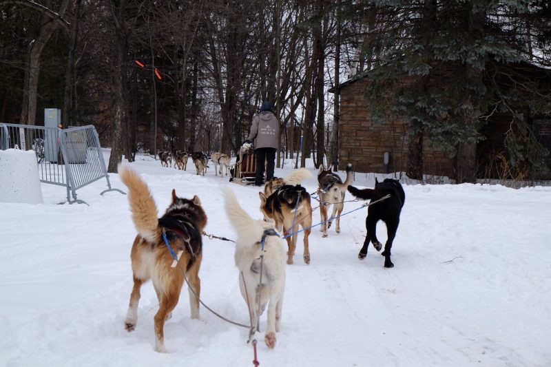fete des neiges montreal