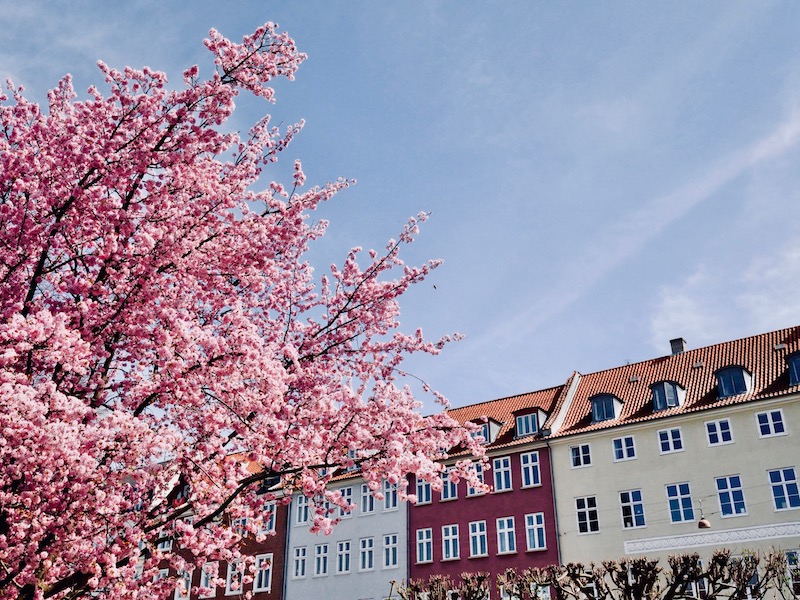 kongens-have-2
