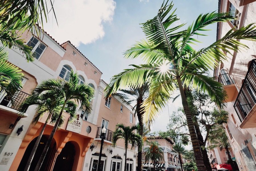 vvisiter-miami-beach-palmier