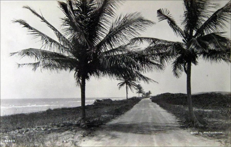 ancienne-photo-miami-collins-avenue-1924