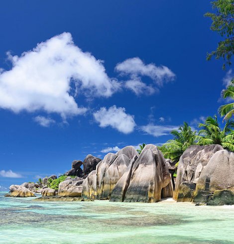Une croisière aux Seychelles : luxe en paradis sauvage