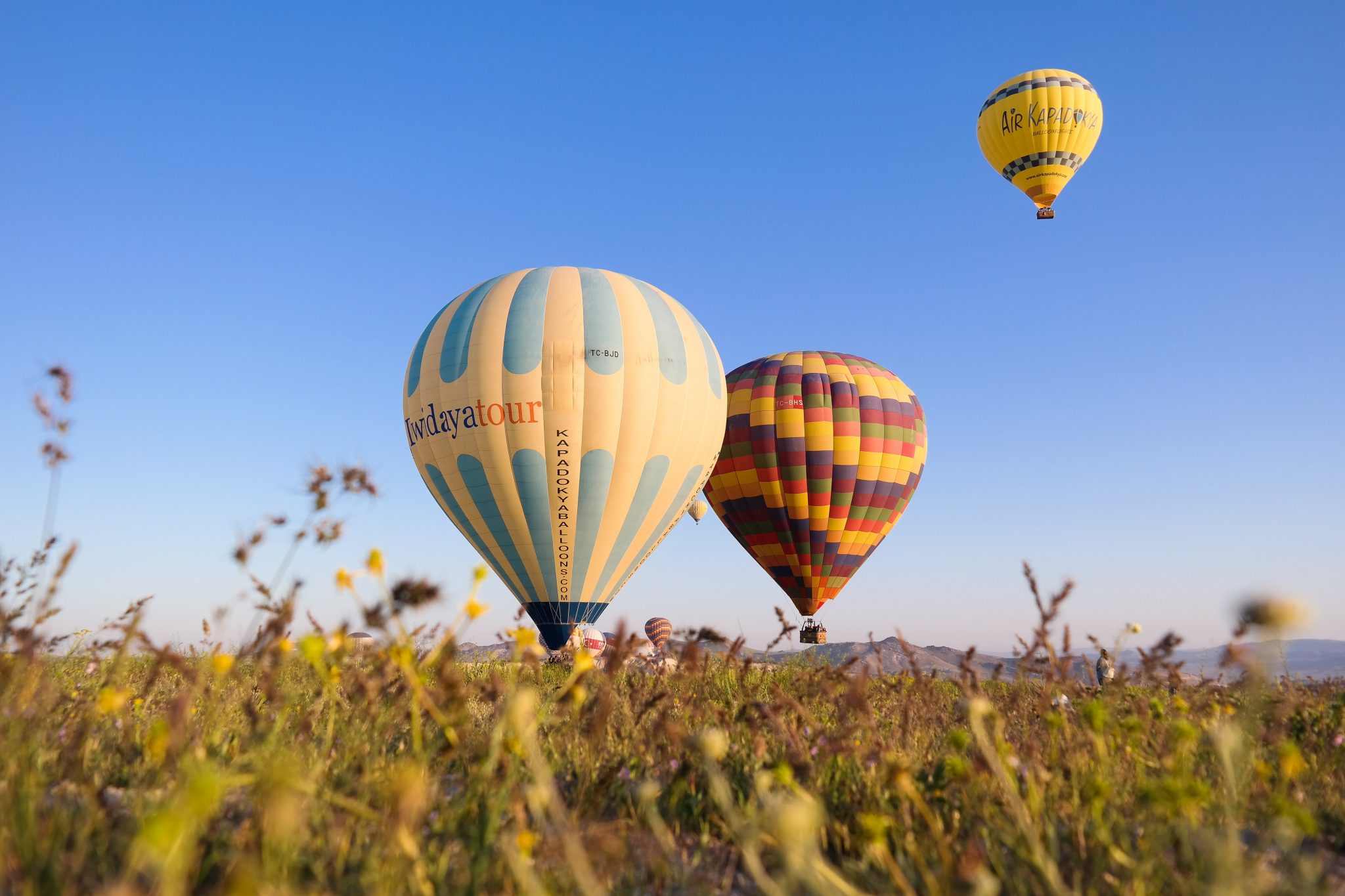 Vol en montgolfière avec oiseaux